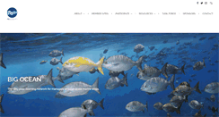 Desktop Screenshot of bigoceanmanagers.org