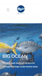 Mobile Screenshot of bigoceanmanagers.org